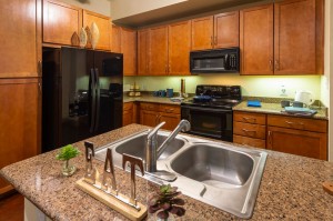 Two Bedroom Apartments for Rent in Houston, TX - Model Kitchen with Double Sink Island (2)  